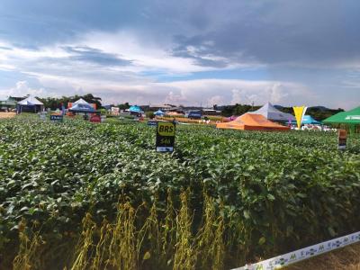 Dia de Campo da Coprossel teve uma ótima participação dos associados